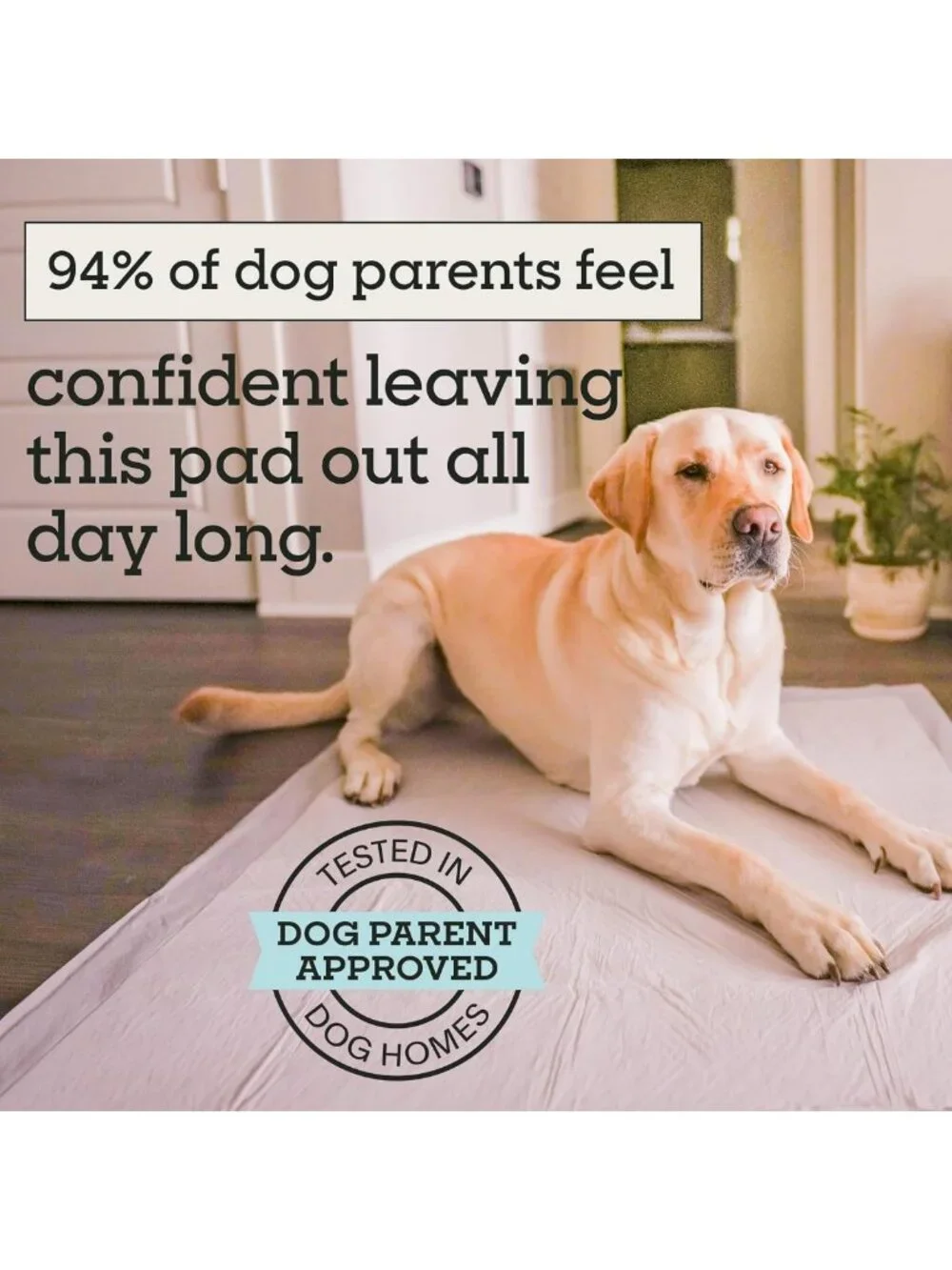 Heavy Duty 3XL Puppy Pads for Dogs - Leak-Proof, Super Absorbent, Quick-Dry, 26